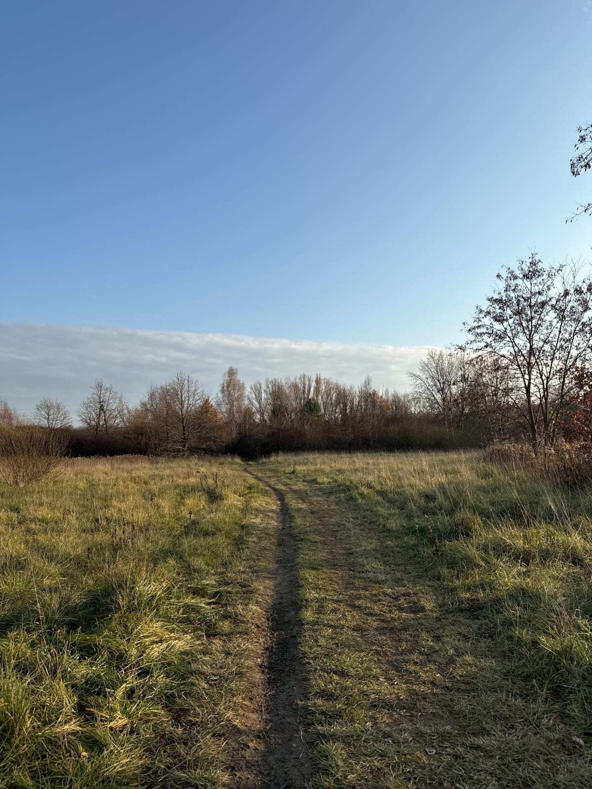 Spacer po wilanowskich polach koło Rezerwatu Natolińskiego - Warszawa