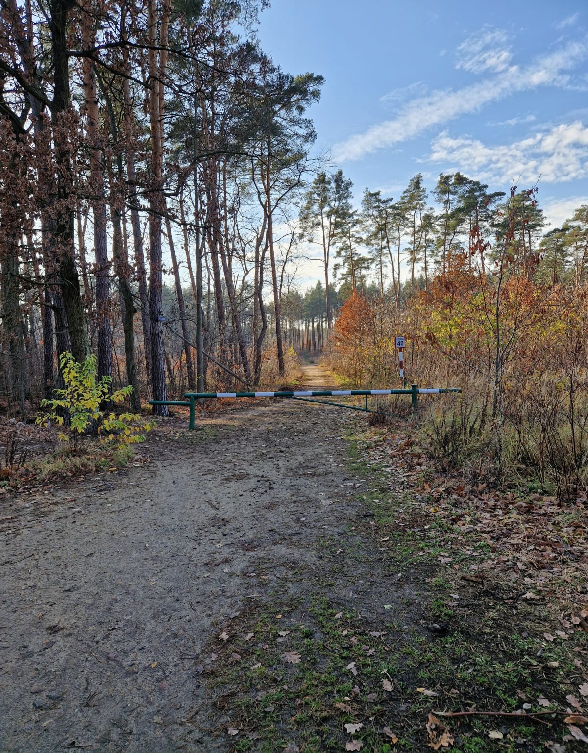 5KM przez rezerwaty w Lesie Mlochowskim - Nadarzyn
