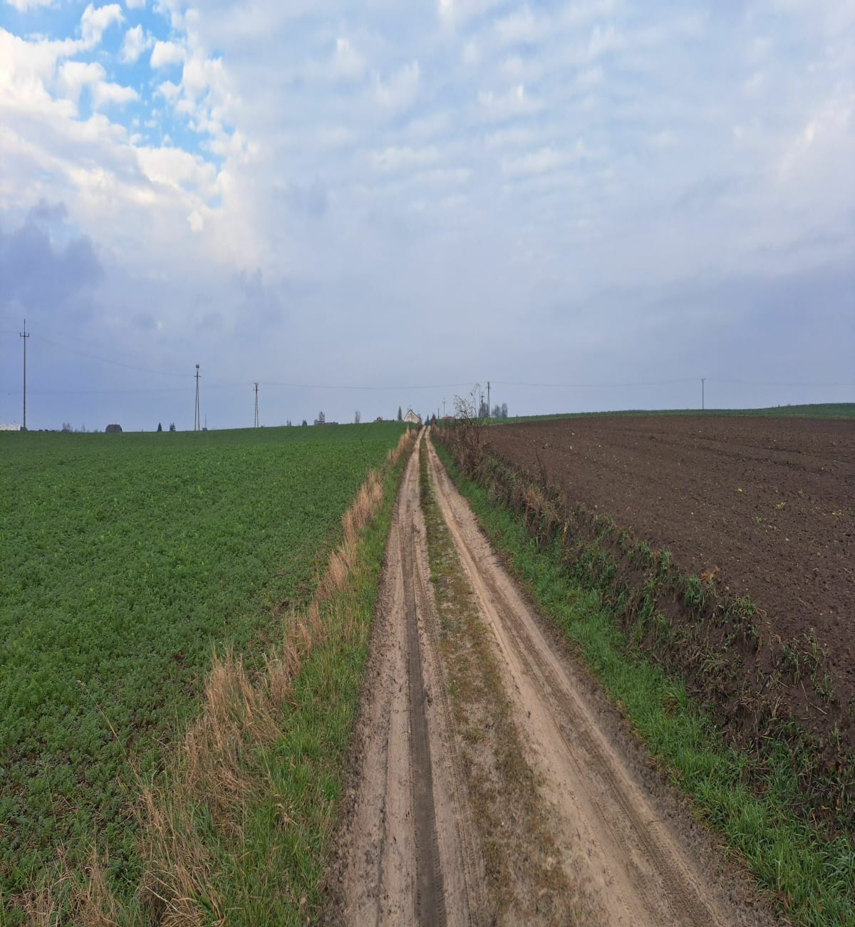 Stare- Nowe Świerczyny - Stare Świerczyny