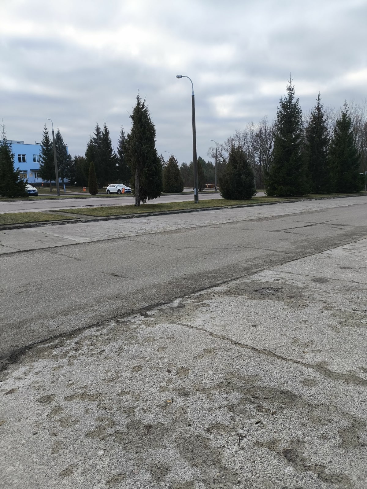 Spacer na Krynoczkę leśnymi ścieżkami - Hajnówka