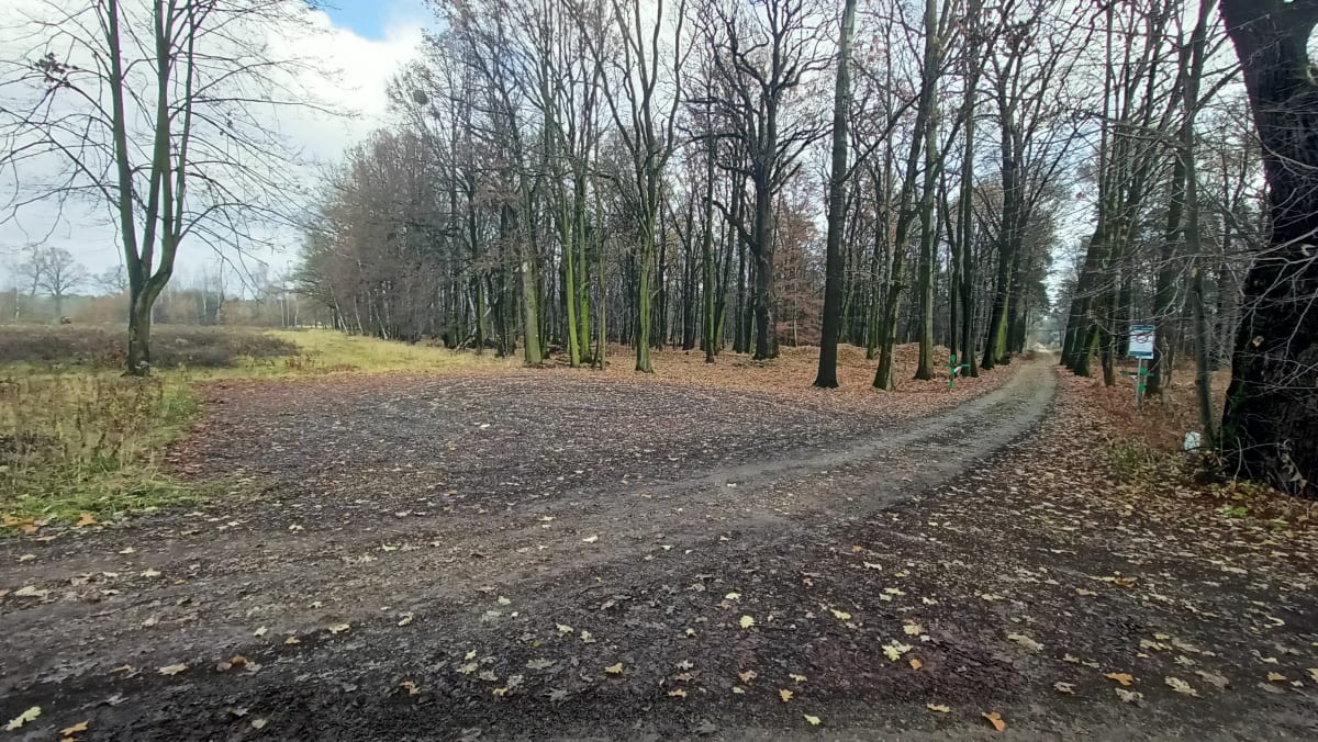 Baranowicze - przy Baranioku - Żory
