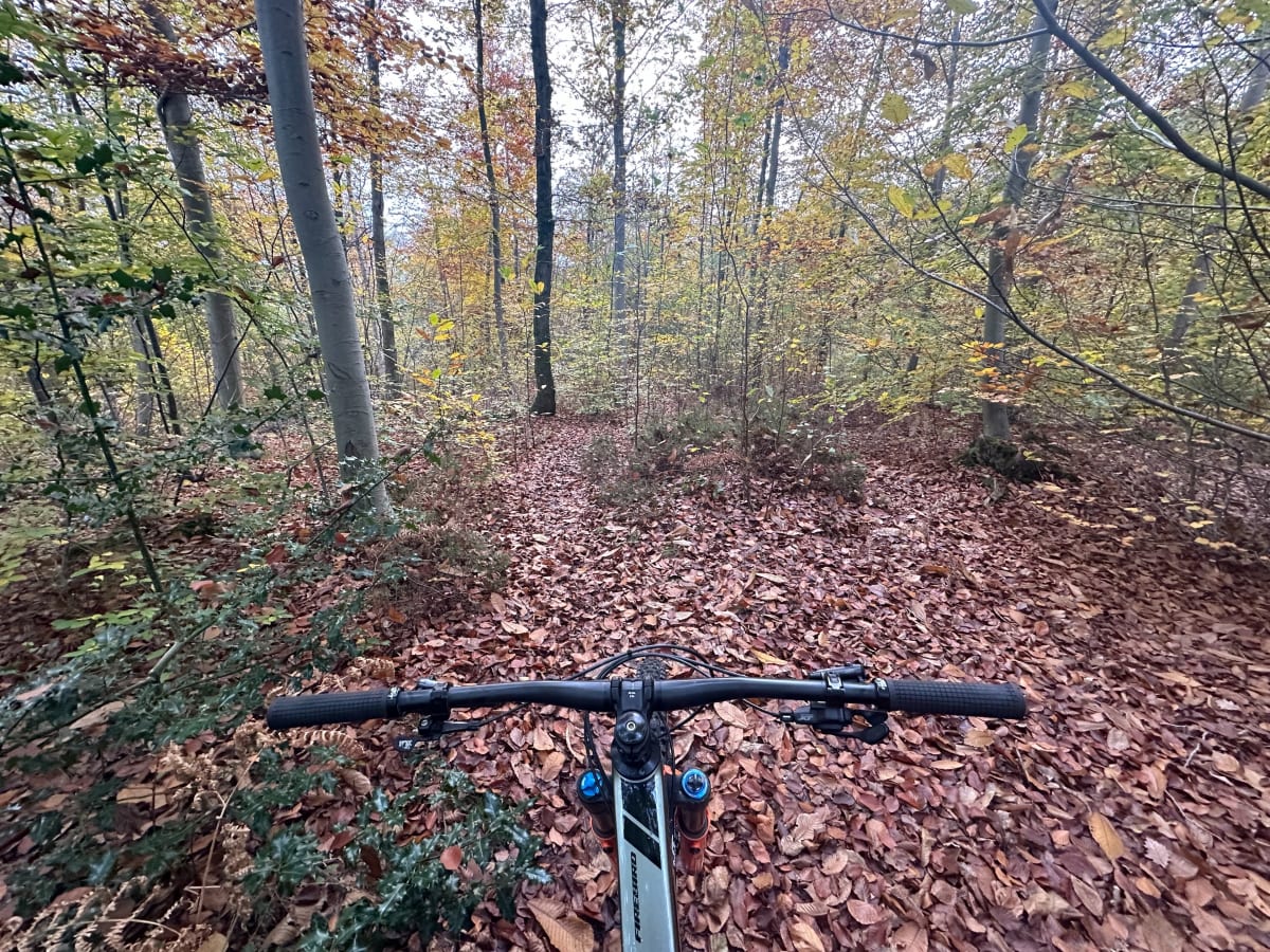Sortie VTT avec 1 parc et 2 forêts depuis Sèvres - Sèvres