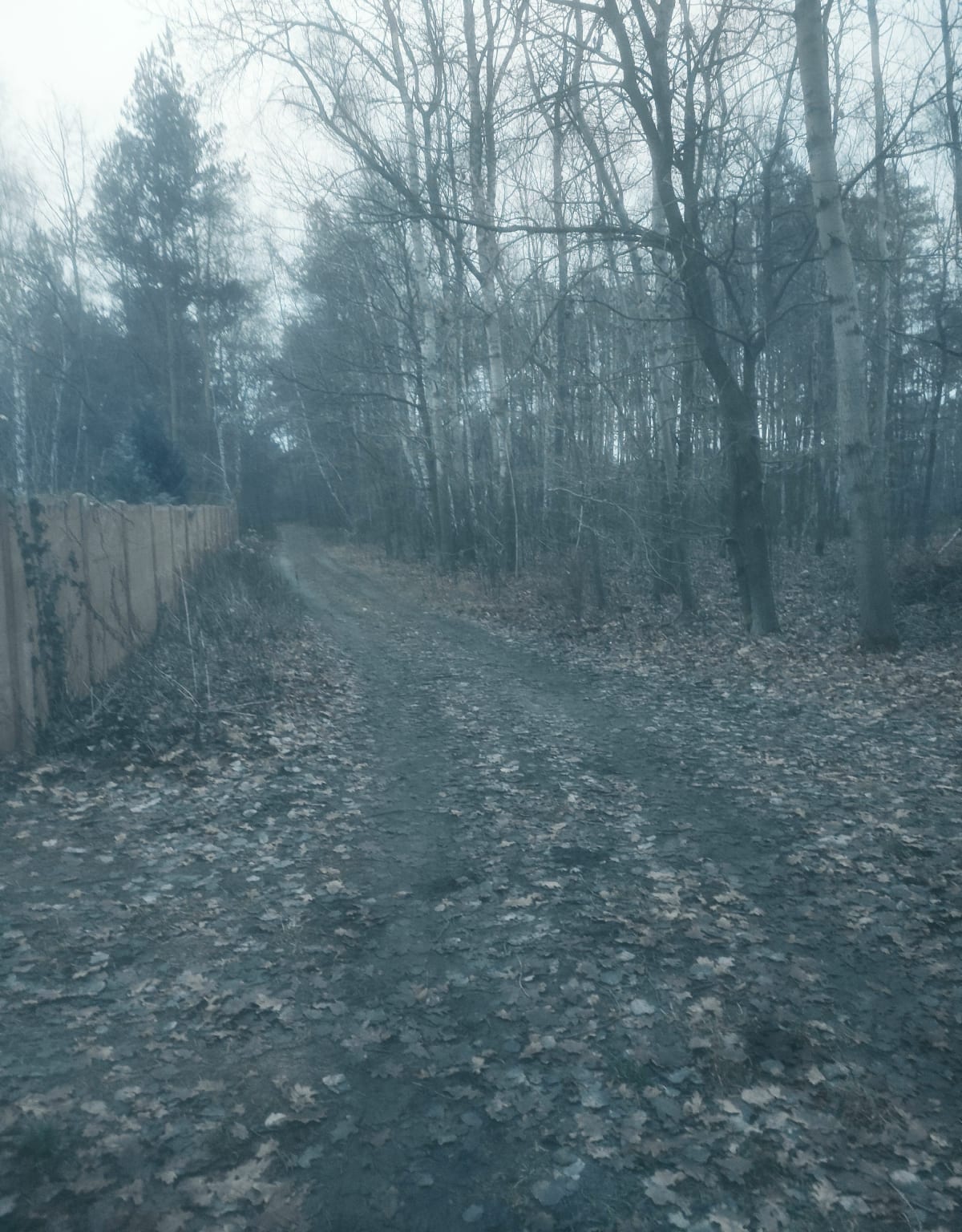 Bieganie to zdrowie. - Nowy Prażmów