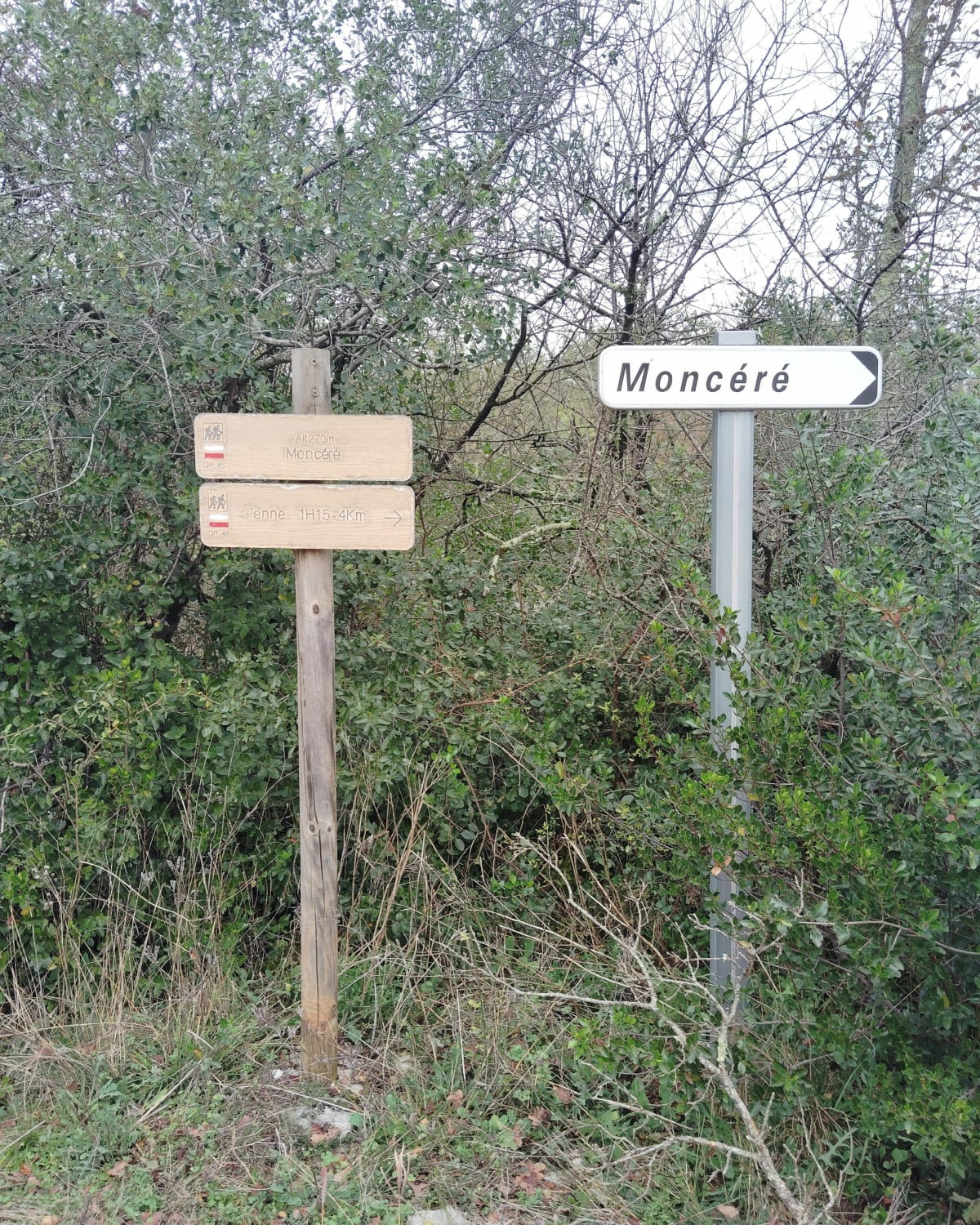Campagne de Penne et Bruniquel - Penne