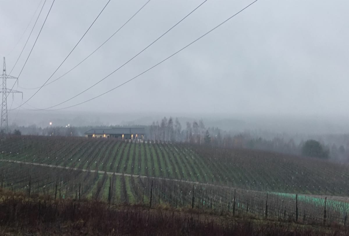 Winnica w Libiążu i park Skarbnika - Libiąż