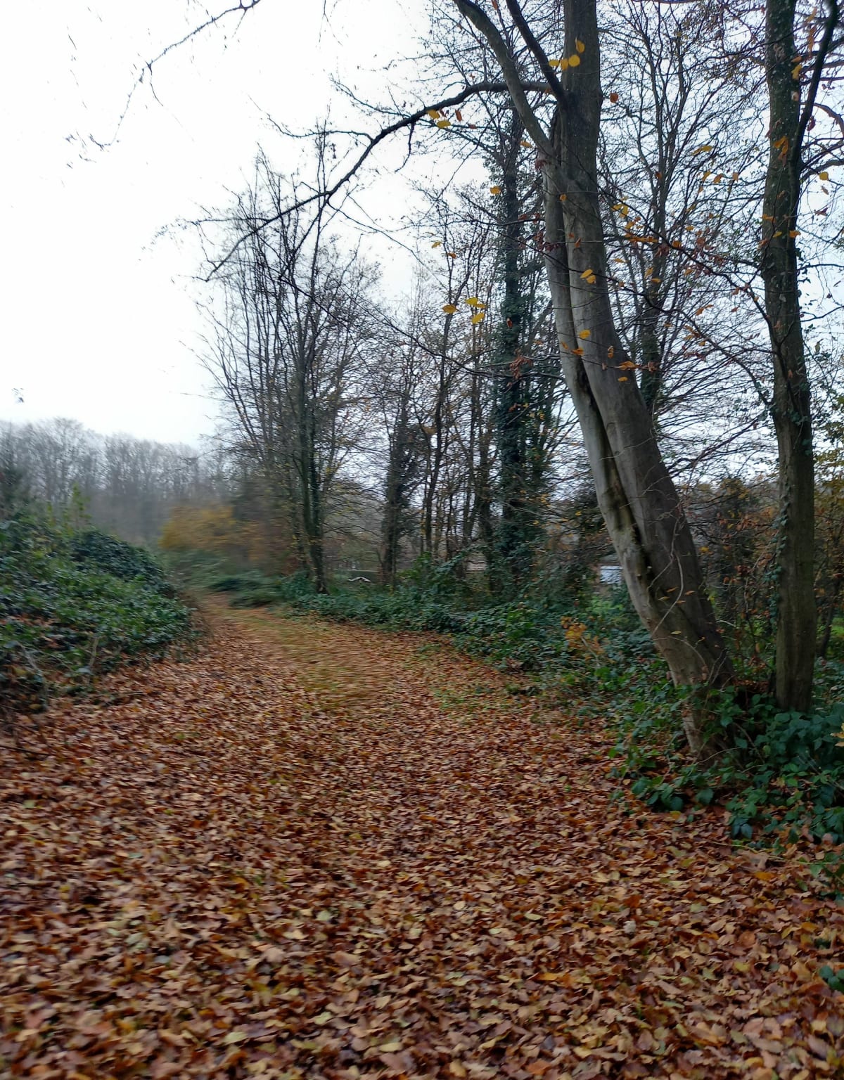 Autour de Montay - Le Cateau-Cambrésis