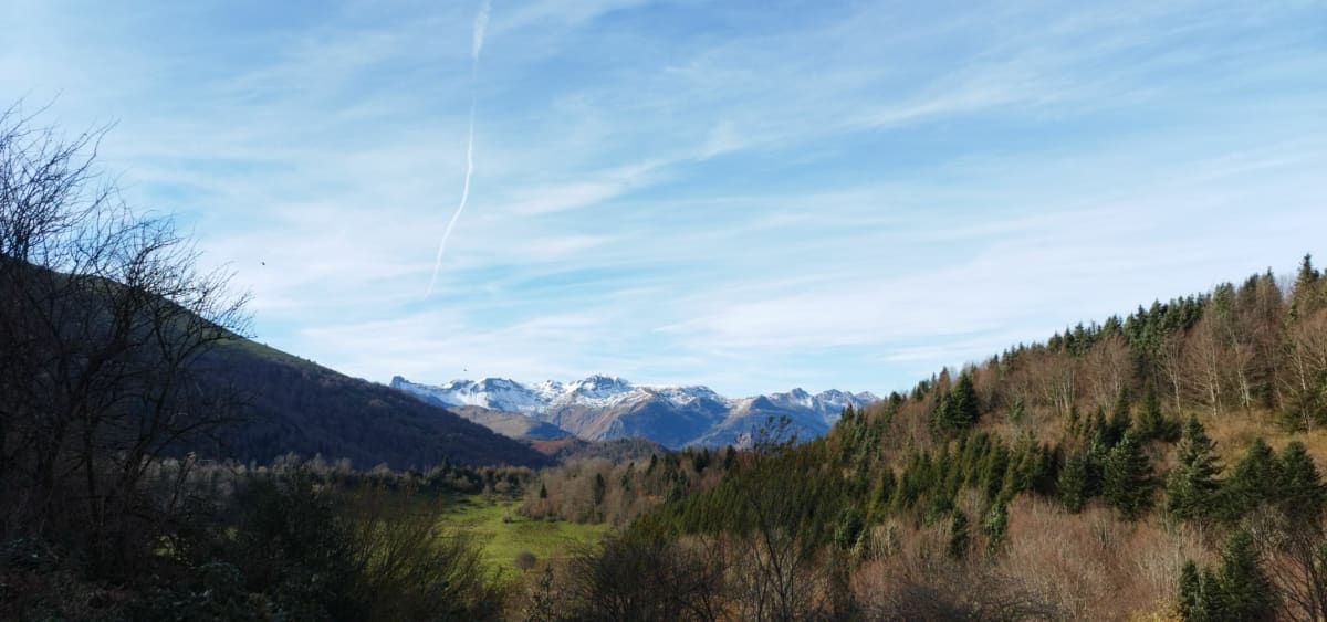 Port de Castet et Bois de Coussau - Castet
