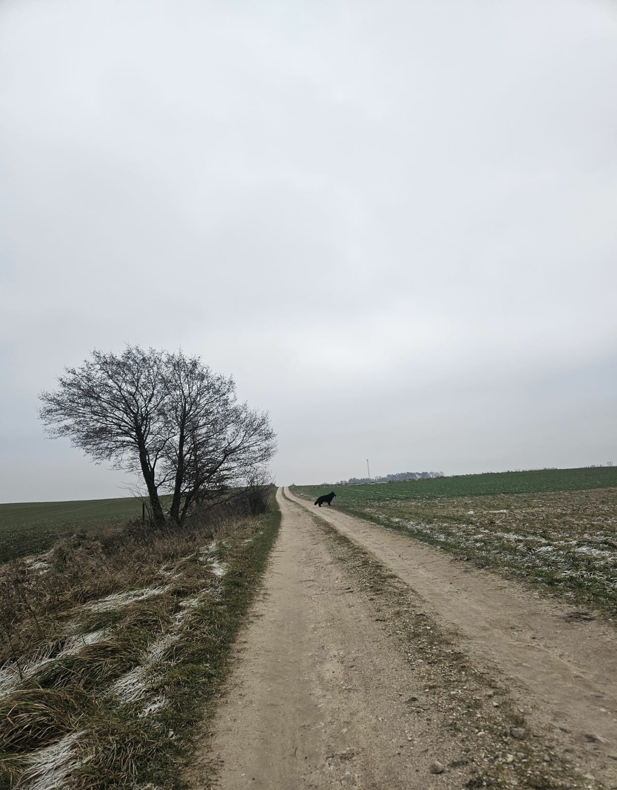 Nasza trasa - Lubawa