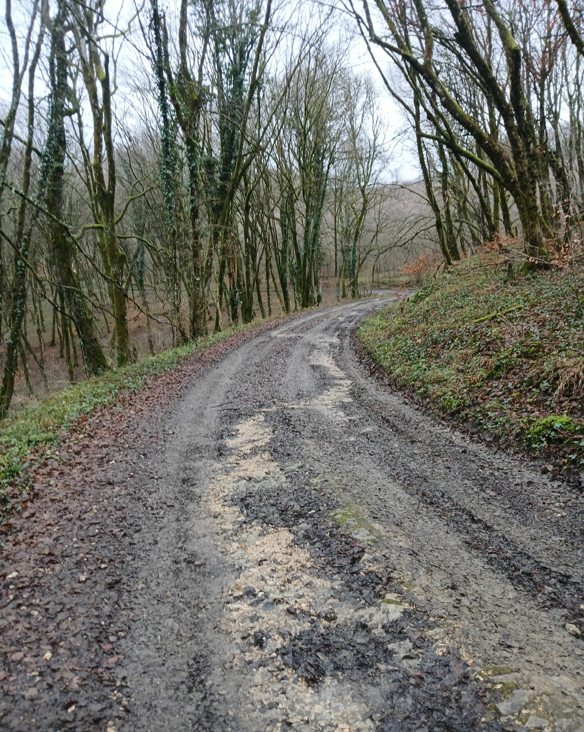 Marche nordique à Grand Charmont - Grand-Charmont