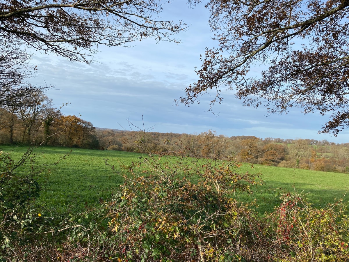 Dans la belle campagne Limousine - Val-d'Oire-et-Gartempe