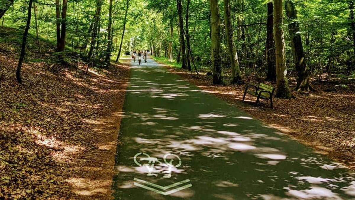 Cycling road in forest near Baltic sea - Mielno