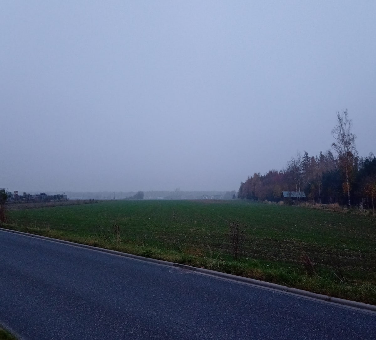Przejażdżka rowerowa wokół radłowsko-zacharzewskich pól - Ostrów Wielkopolski