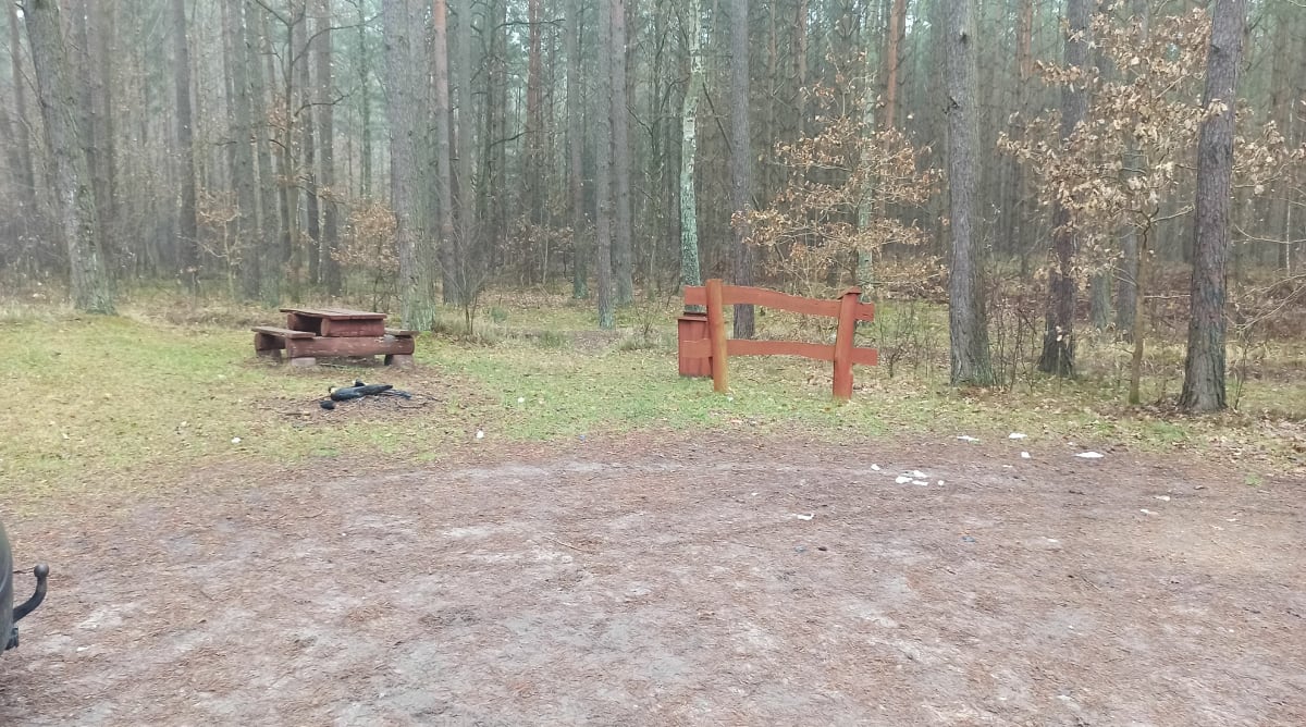 Rakowiecka rundka po lesie - Rakowiec