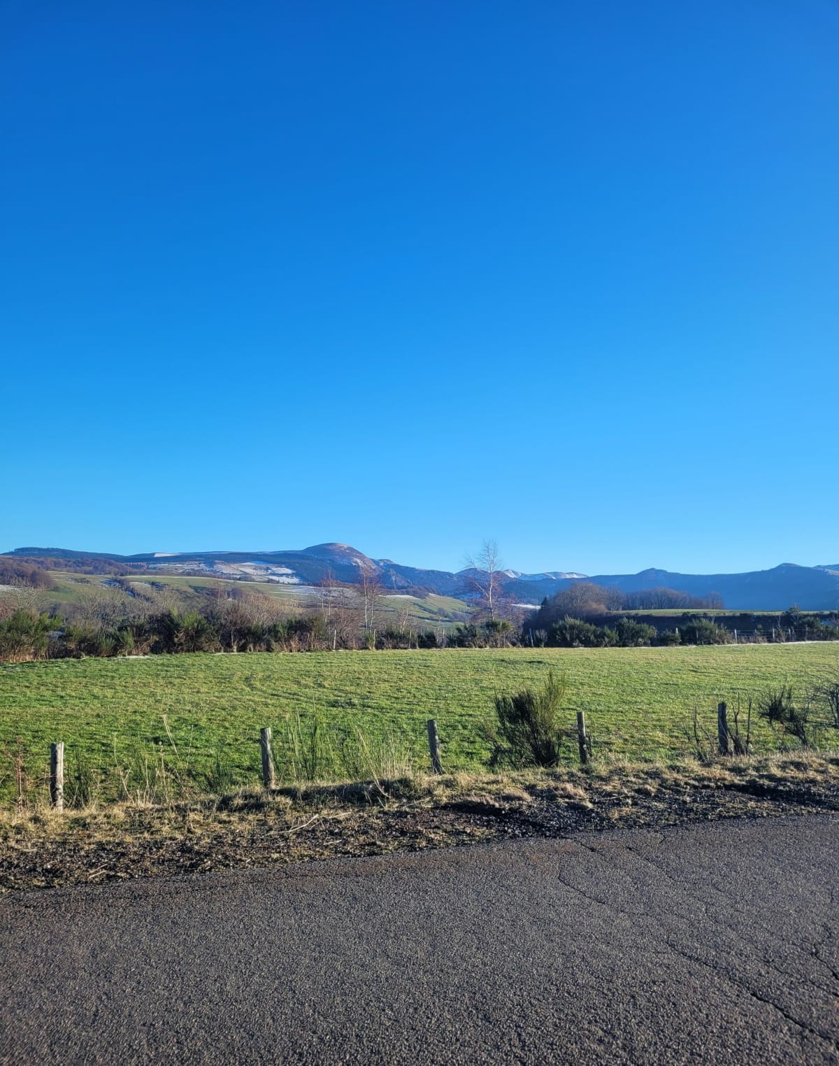 Vue sur les Sancy enneigés - Perpezat