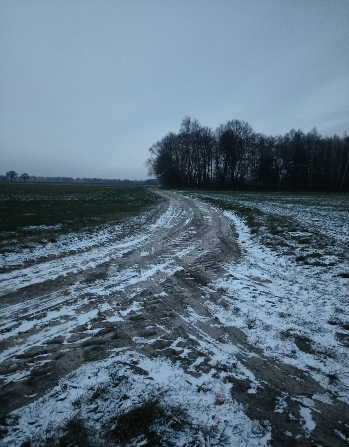 Trasa 2 Kaszew - Kaszew