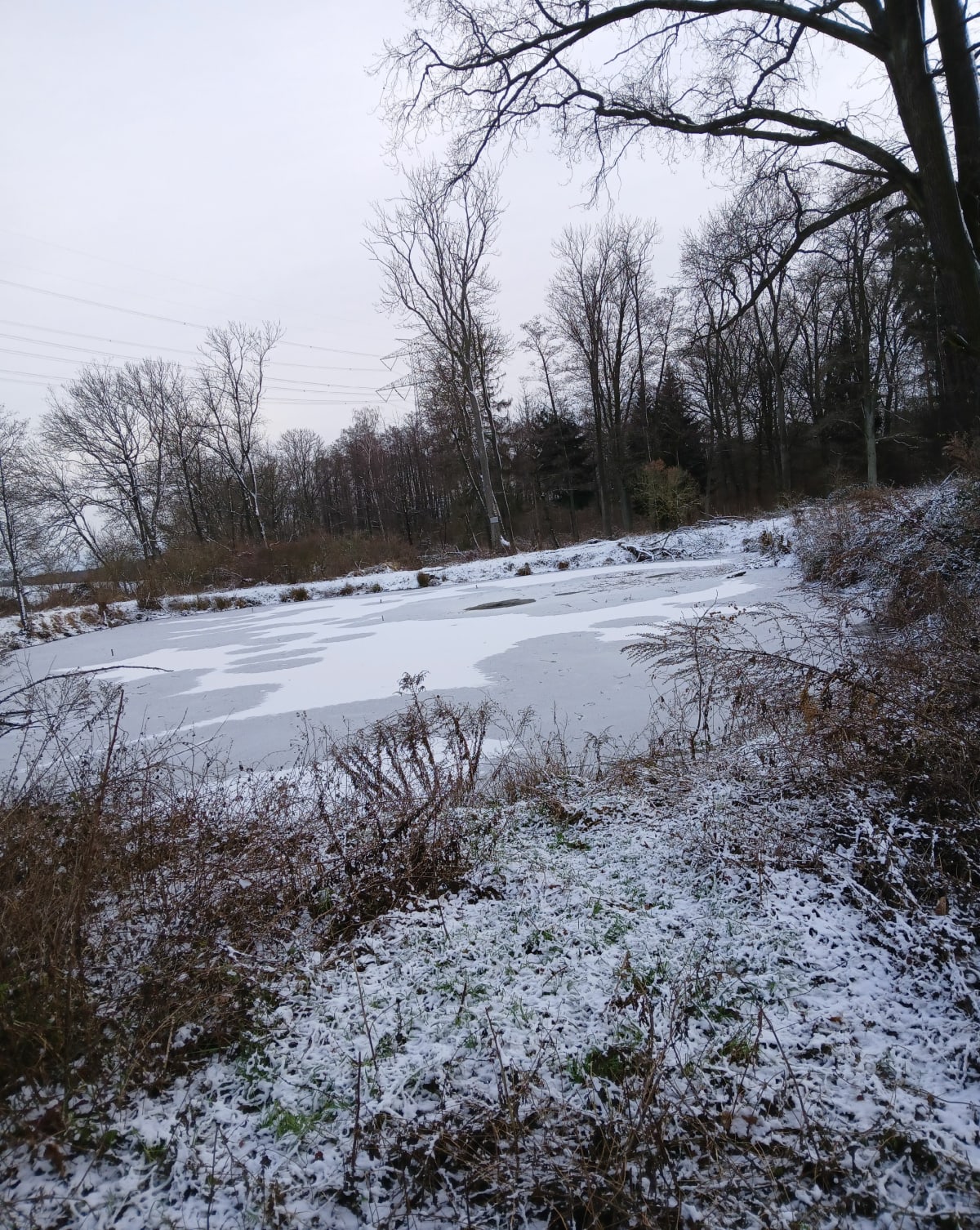Pieszo Styczeń - Składowice