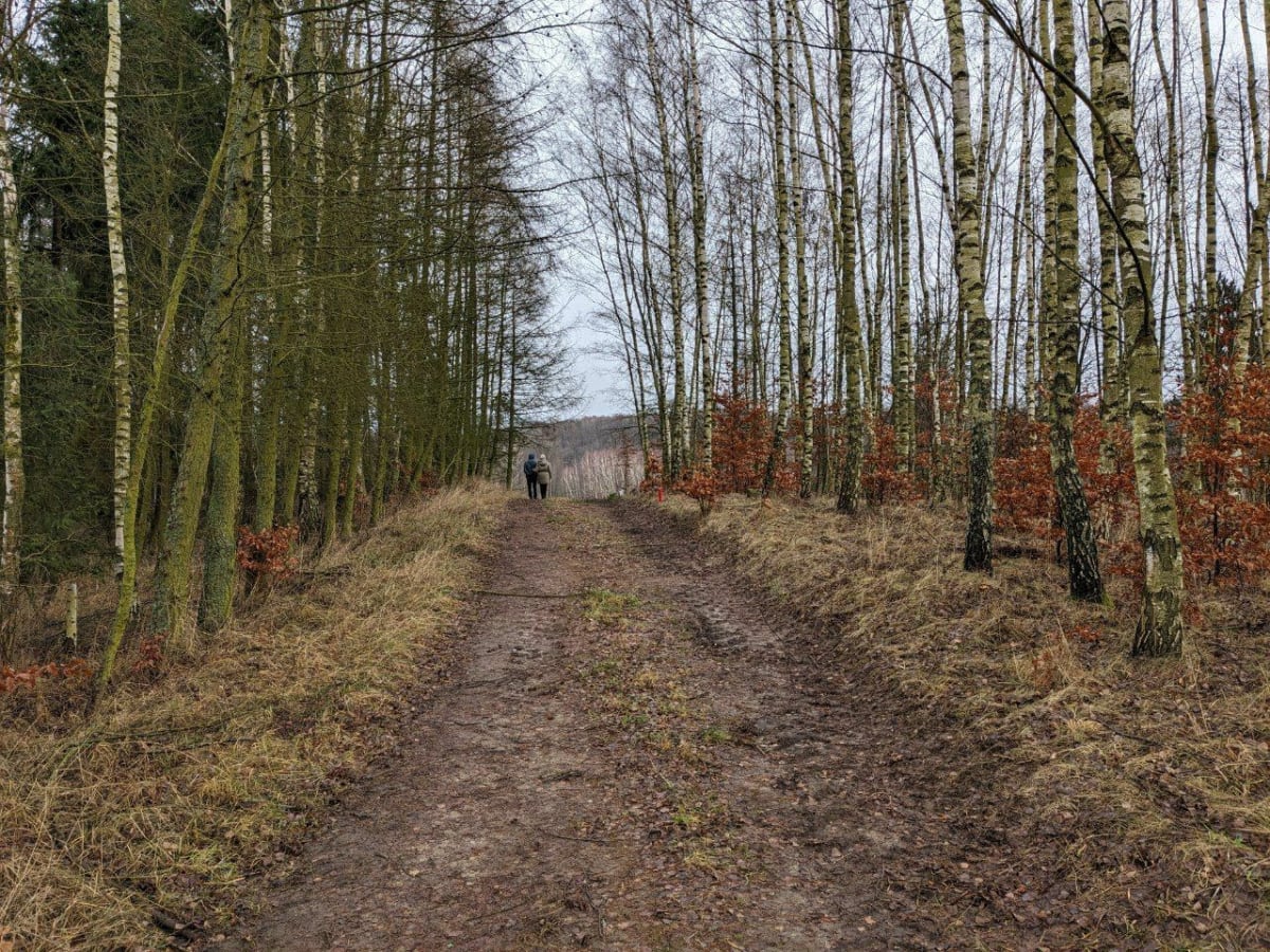 Hike we Wdzydzkim parku krajobrazowym - Krugliniec