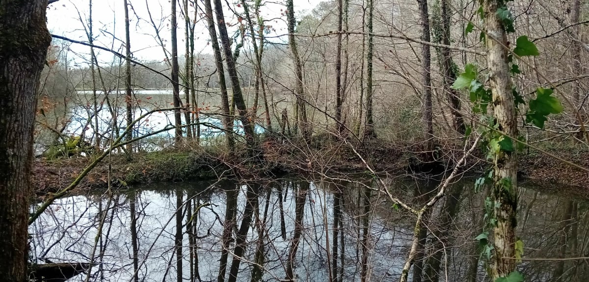 Autour de l'eau à Hagetmau - Momuy