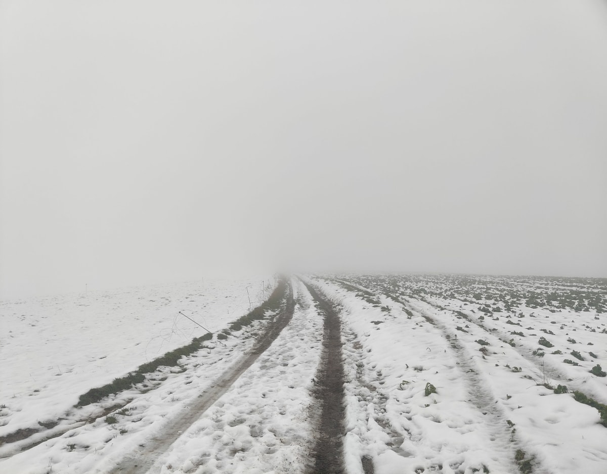 Balade hivernale à Louches - Landrethun-lès-Ardres