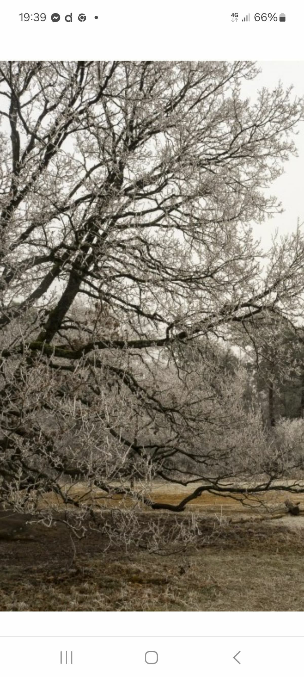 Nature en Meuse - Aulnois-en-Perthois