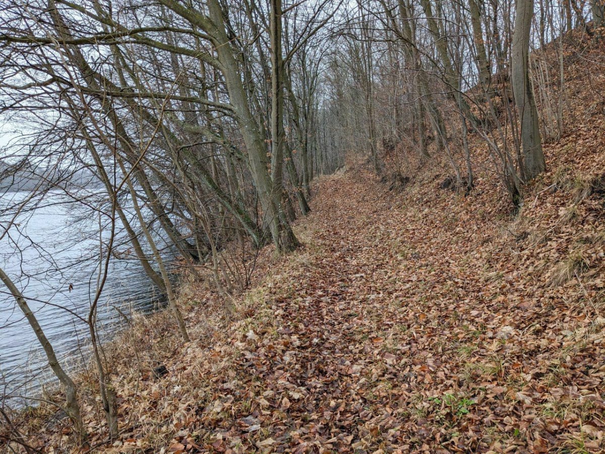 Wędrówka w Kaszubskich lasach - Grzybowo