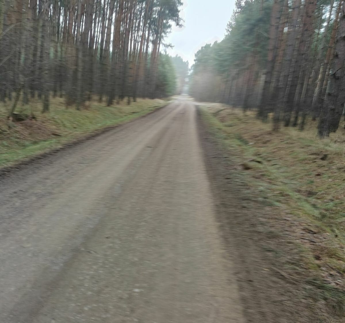 Zbąszynek -Zieleniec i Gościniec - Zbąszynek