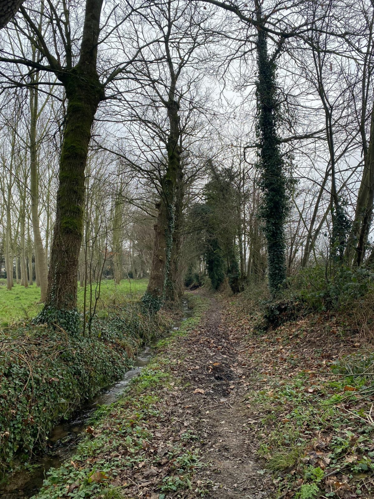 Randonnée des ruisseaux - Romillé