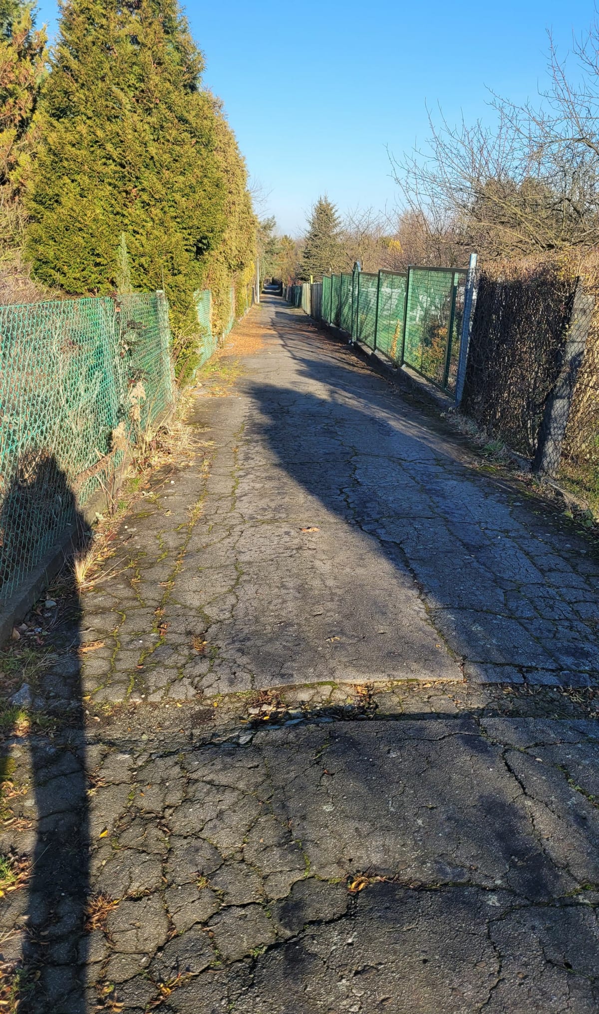 Rodzinne Ogródki Działkowe - Gliwice