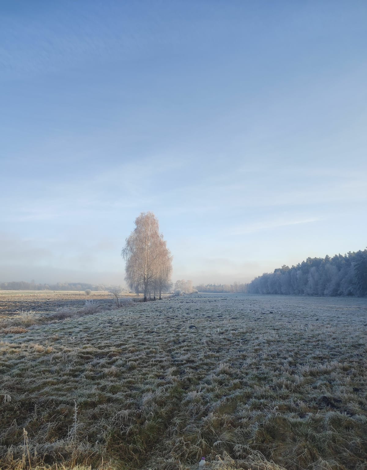 Święta na kieleckiej wsi - Strzeszkowice