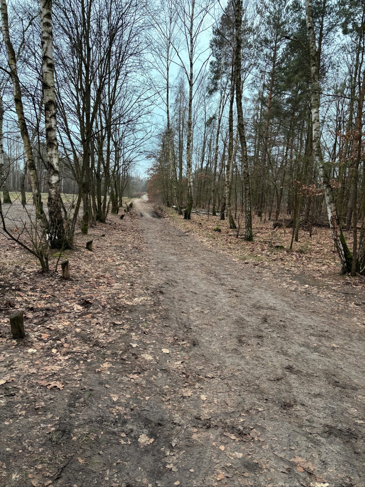 Truskaw Dąbrowa Leśna - Truskaw