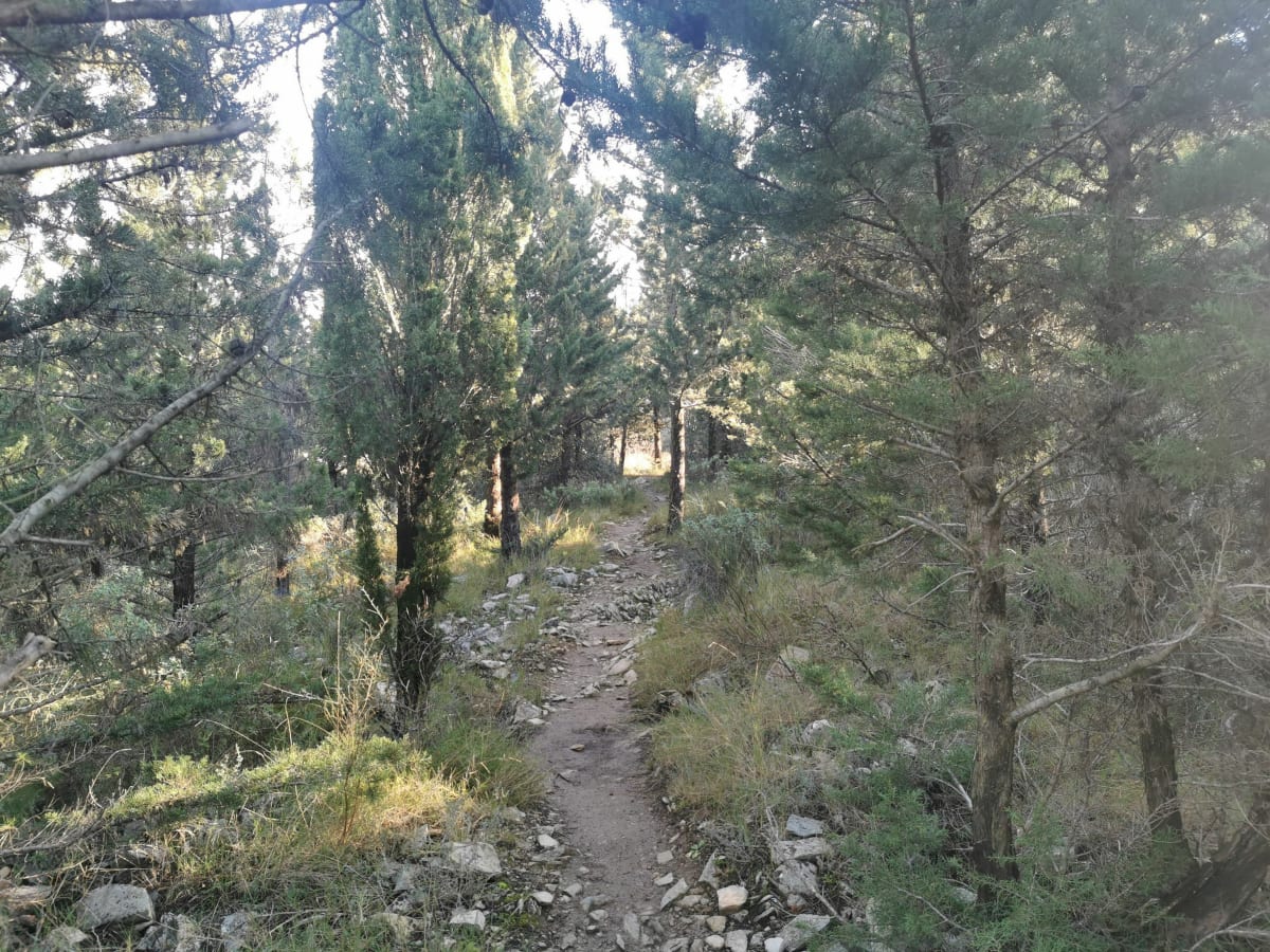 Courbessac combe des bourguignons - Nîmes