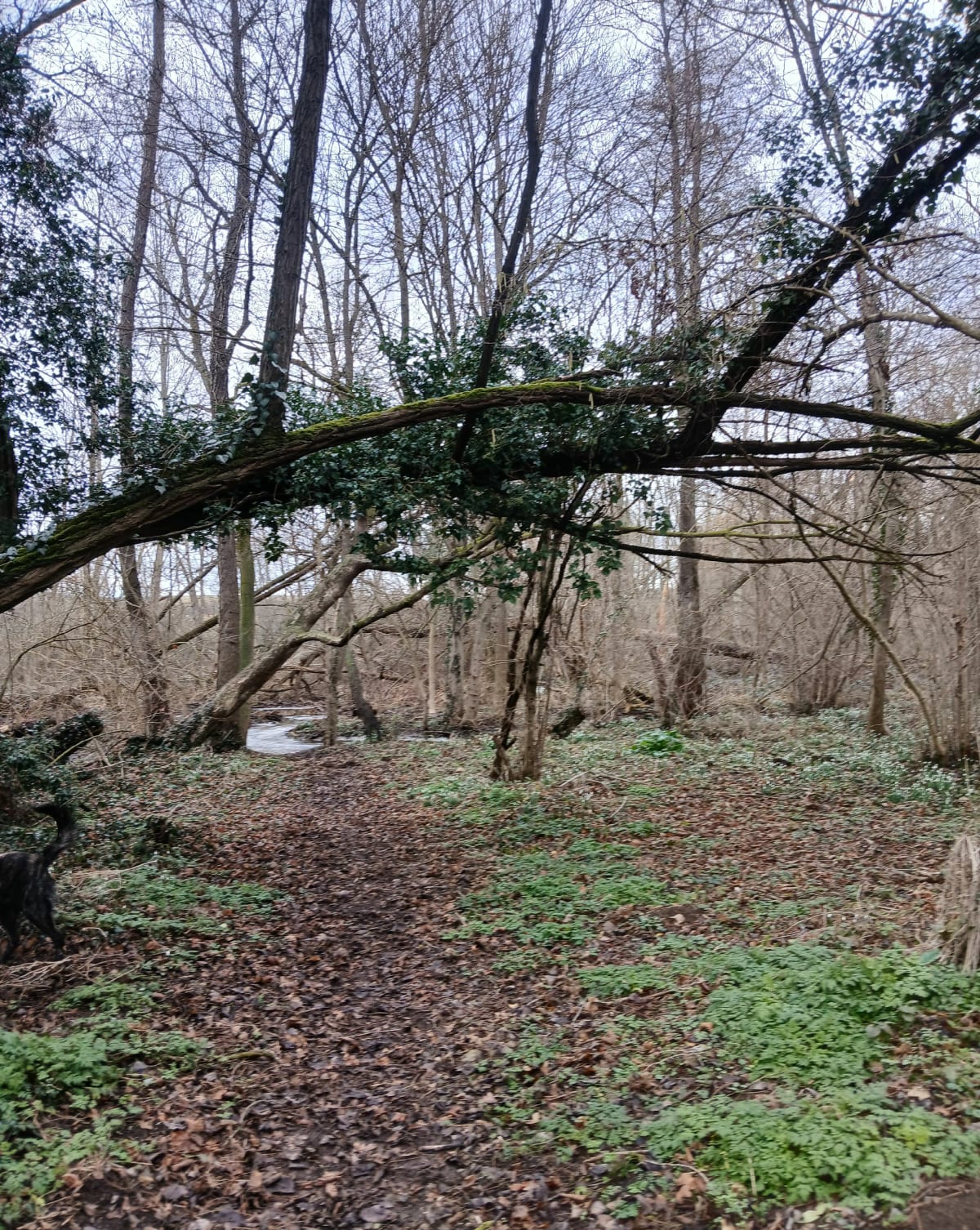Balade Montcelet - Le Breuil-sur-Couze