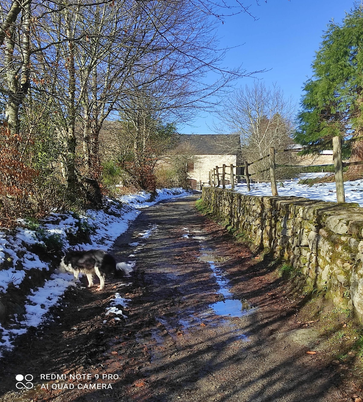 Royère-de-Vassivière - Royère-de-Vassivière