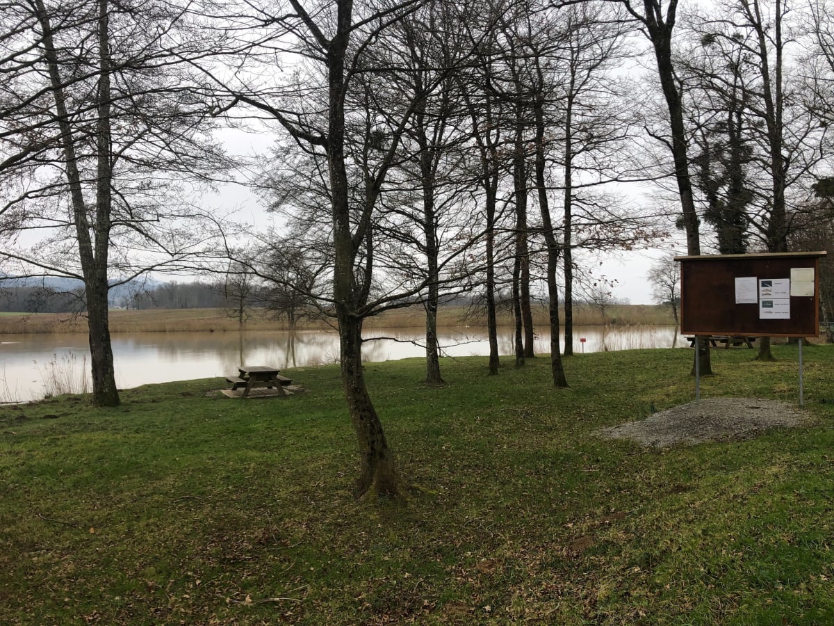 Tour de l’étang de Crève-Cœur - Beaufort-Orbagna