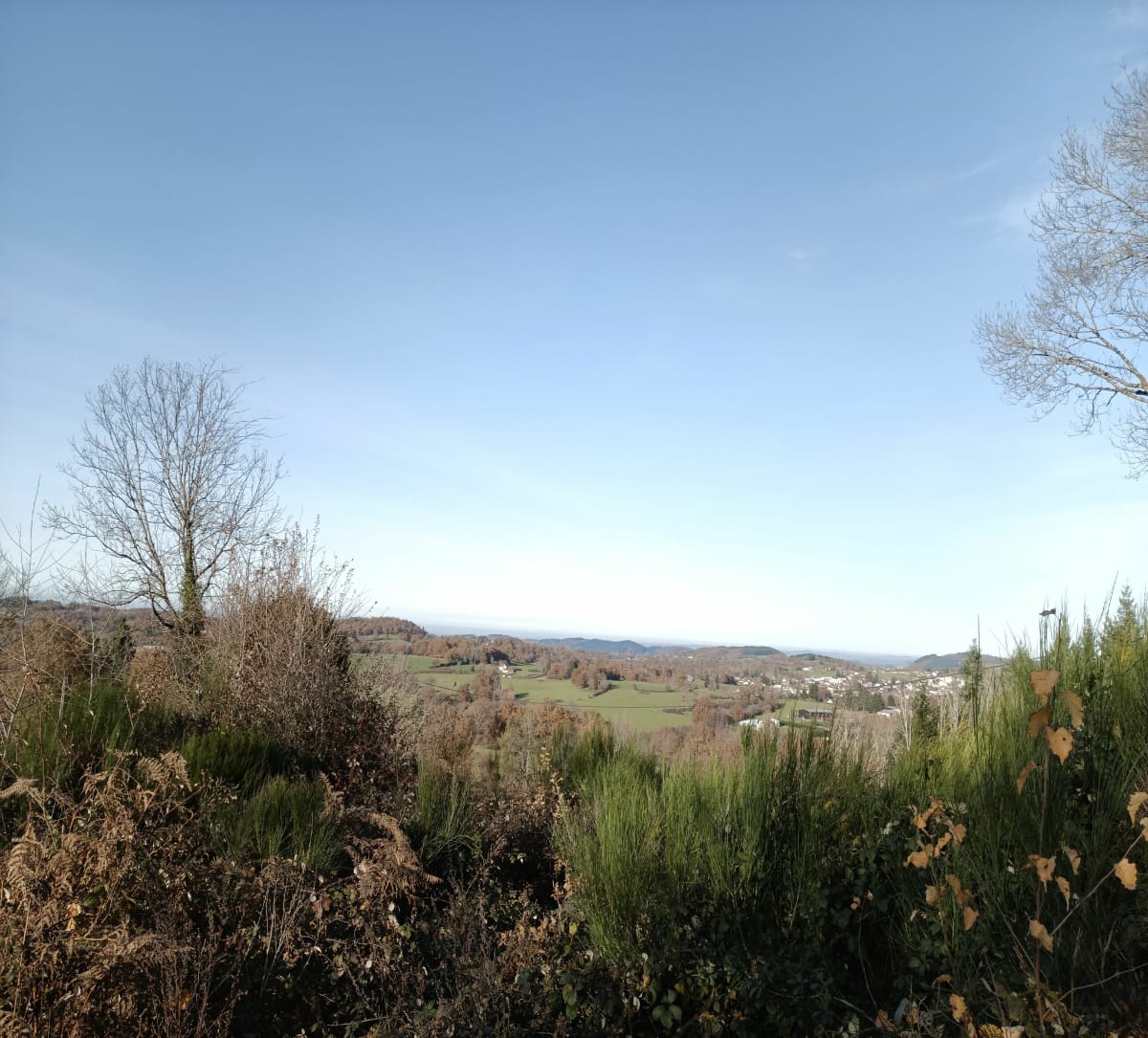 Le Mayet de Montagne - Thomas