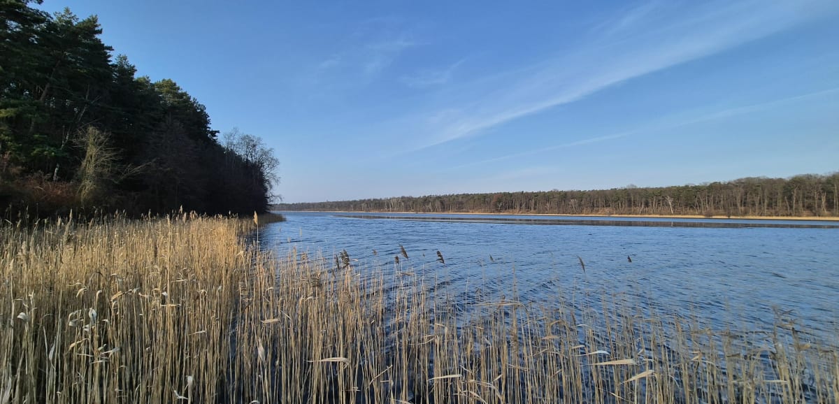 Spacer wzdłuż jeziora Łódzko-Dymaczewskiego - Łódź