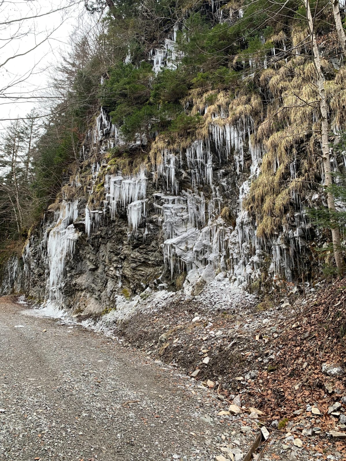 Sur le chemin de Graydon - Saint-Jean-d'Aulps