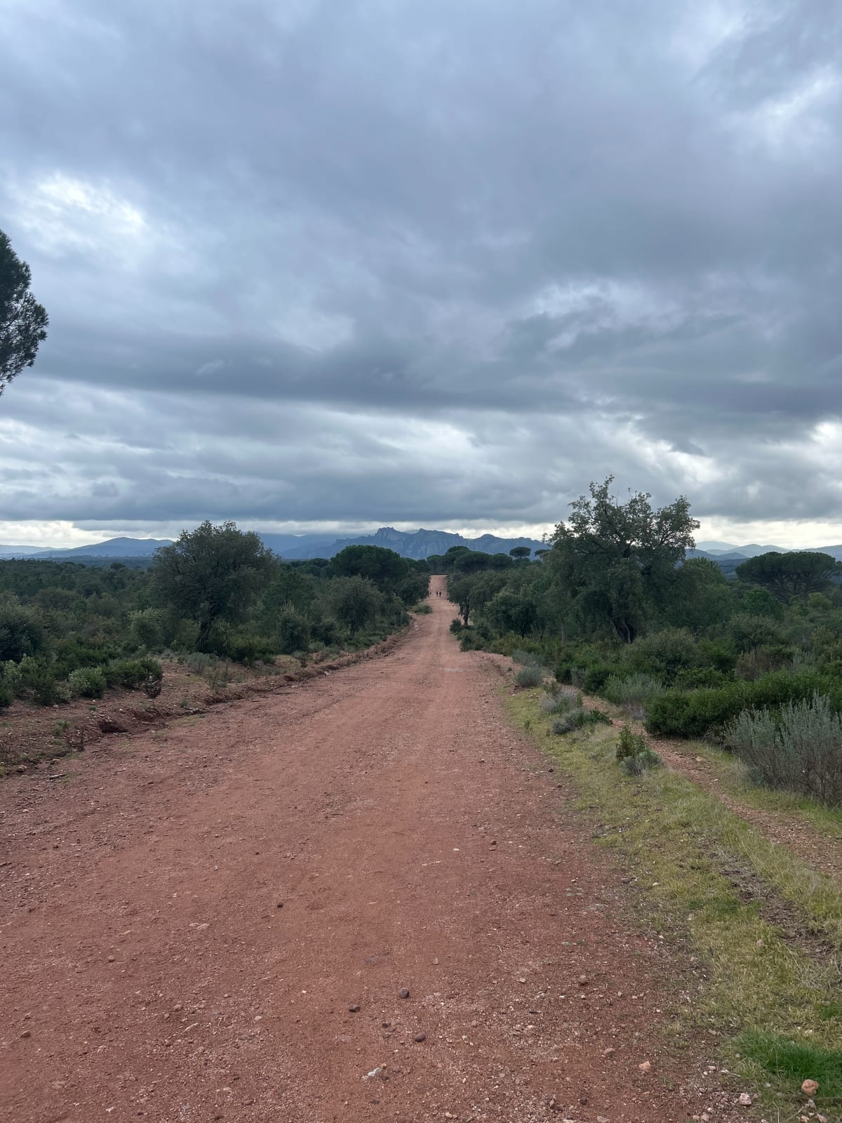 Sortie en forêt du Rouët depuis La Motte - lana