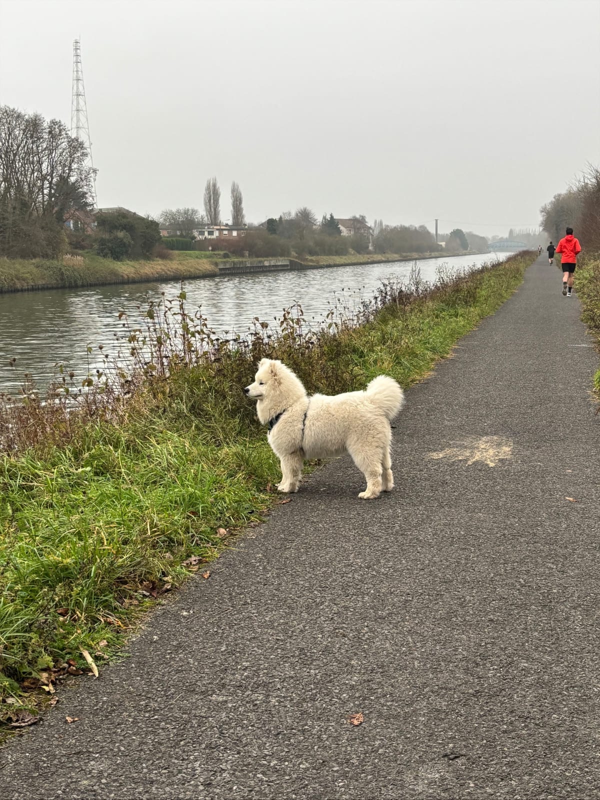 Long de la Scarpe - Douai