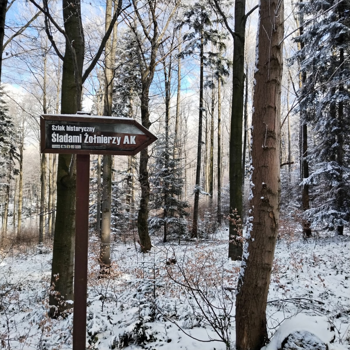 Pętlą przez Kamiennik - Poręba