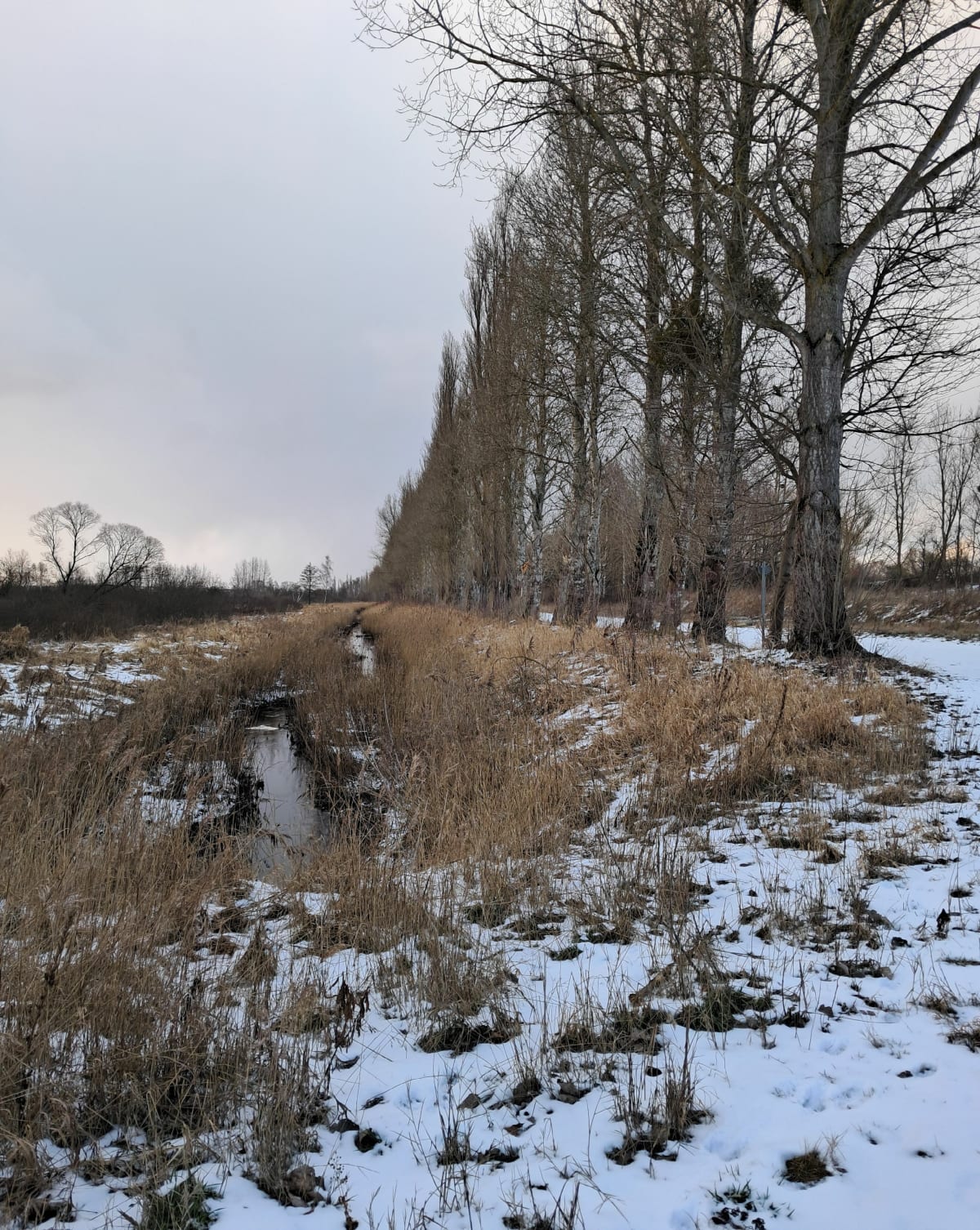 Spacer rezerwat beka - Moście Błota
