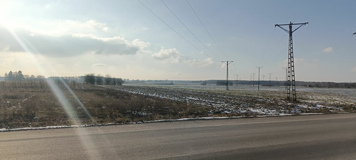 Spacerek po lesie - Parczew