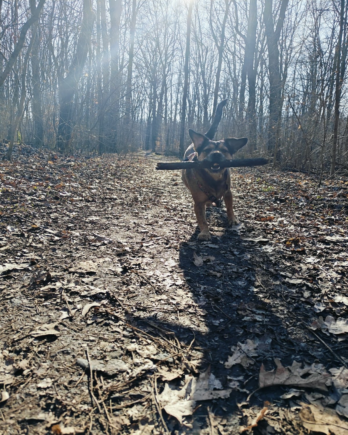 Park Wolności - Brzeg