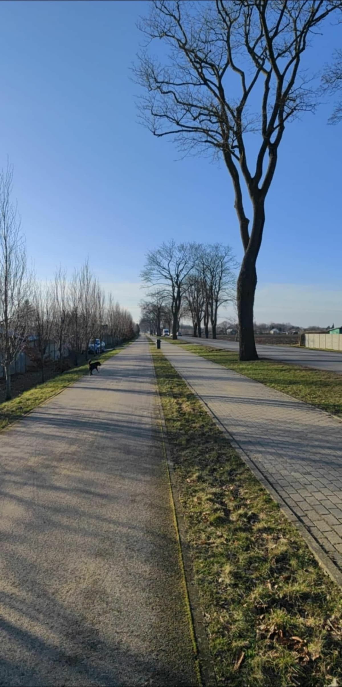 Spacer naturą - Słupsk