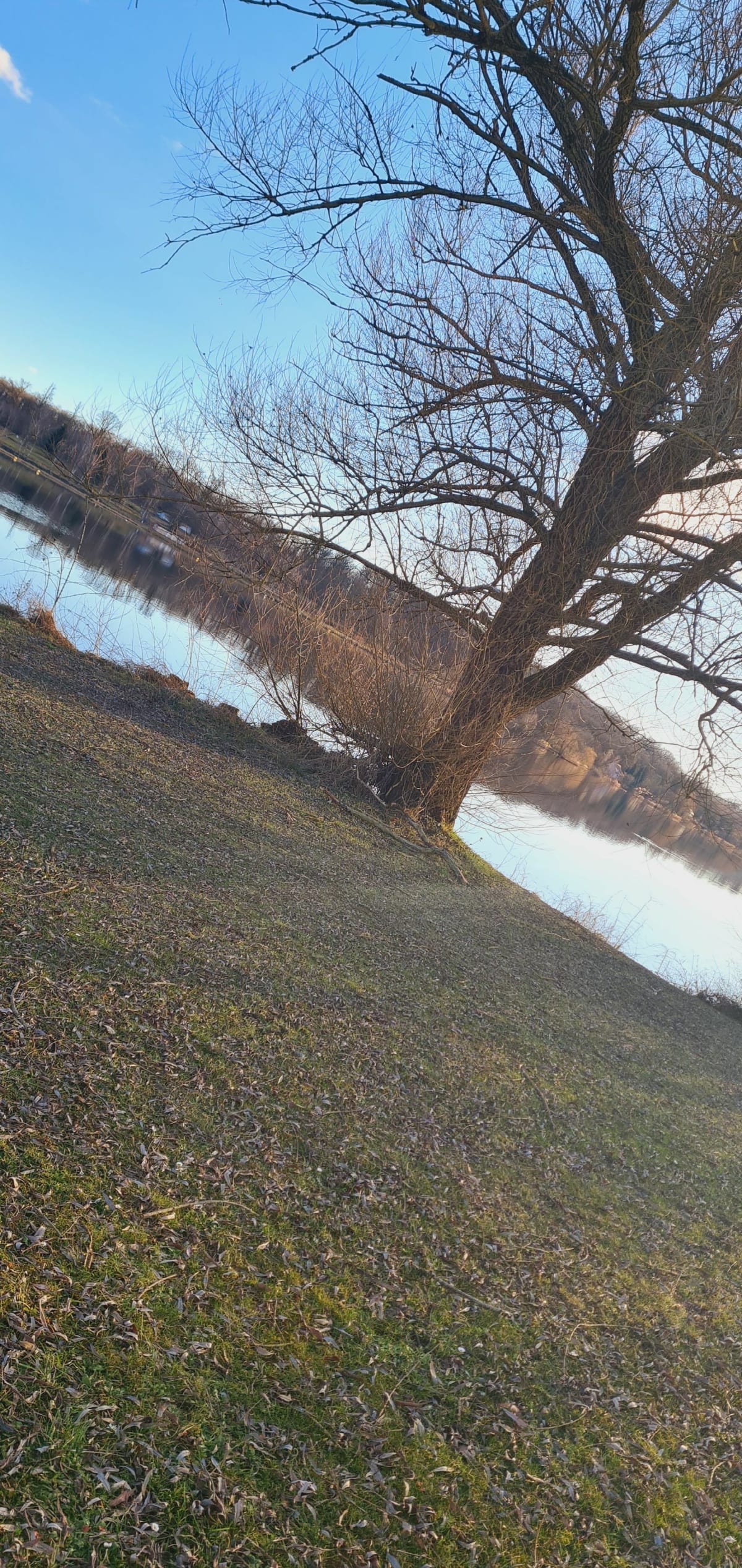 Étang de Dieffenbach - Puttelange-aux-Lacs