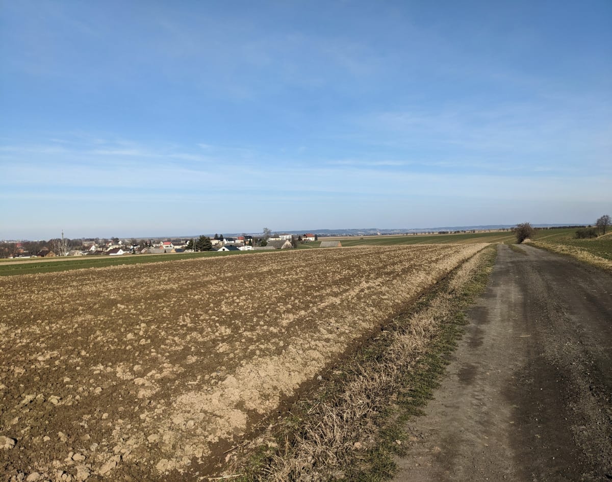 Uroczy Borucin- śladem saren - Borucin