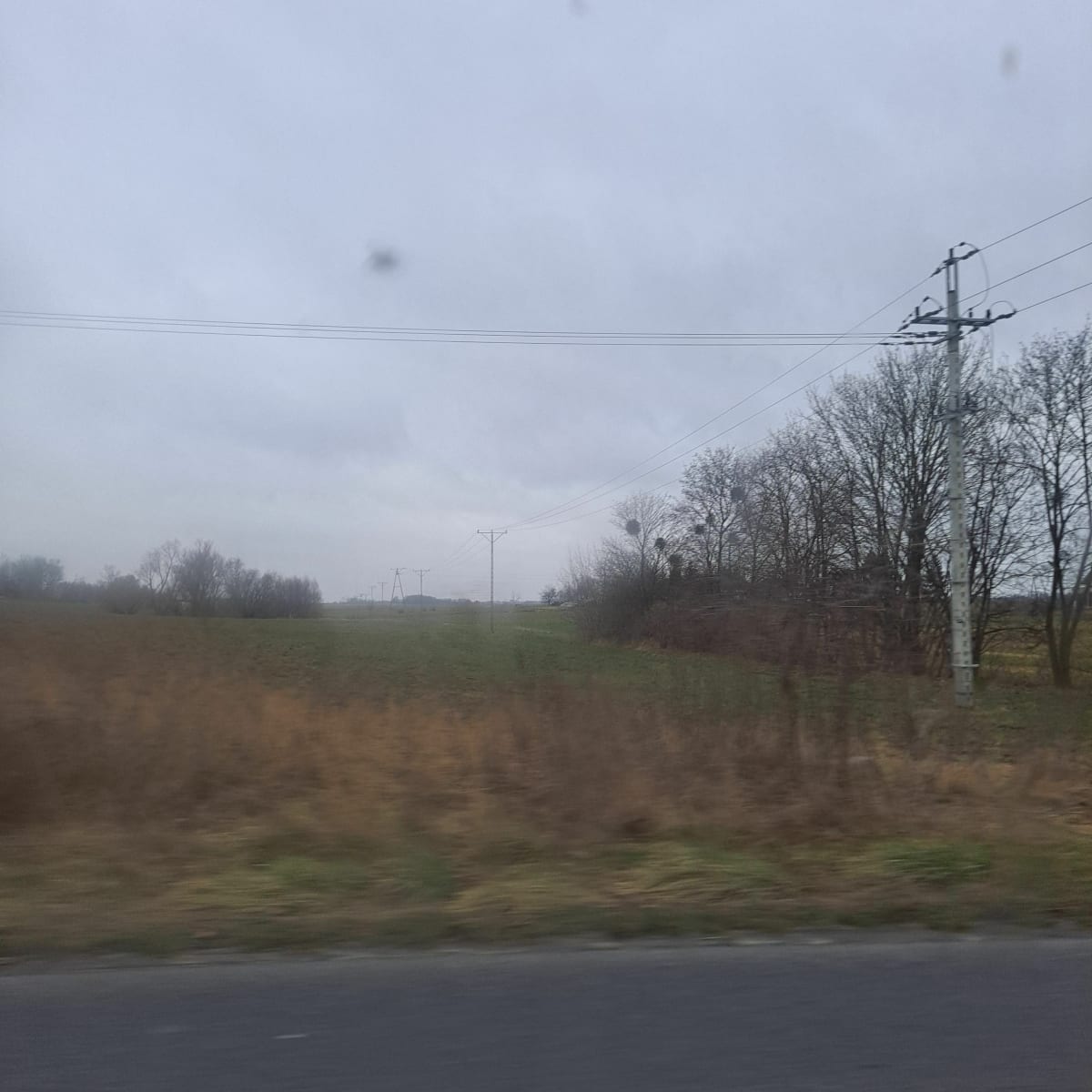 Wzdłuż Ski - Niewieścin