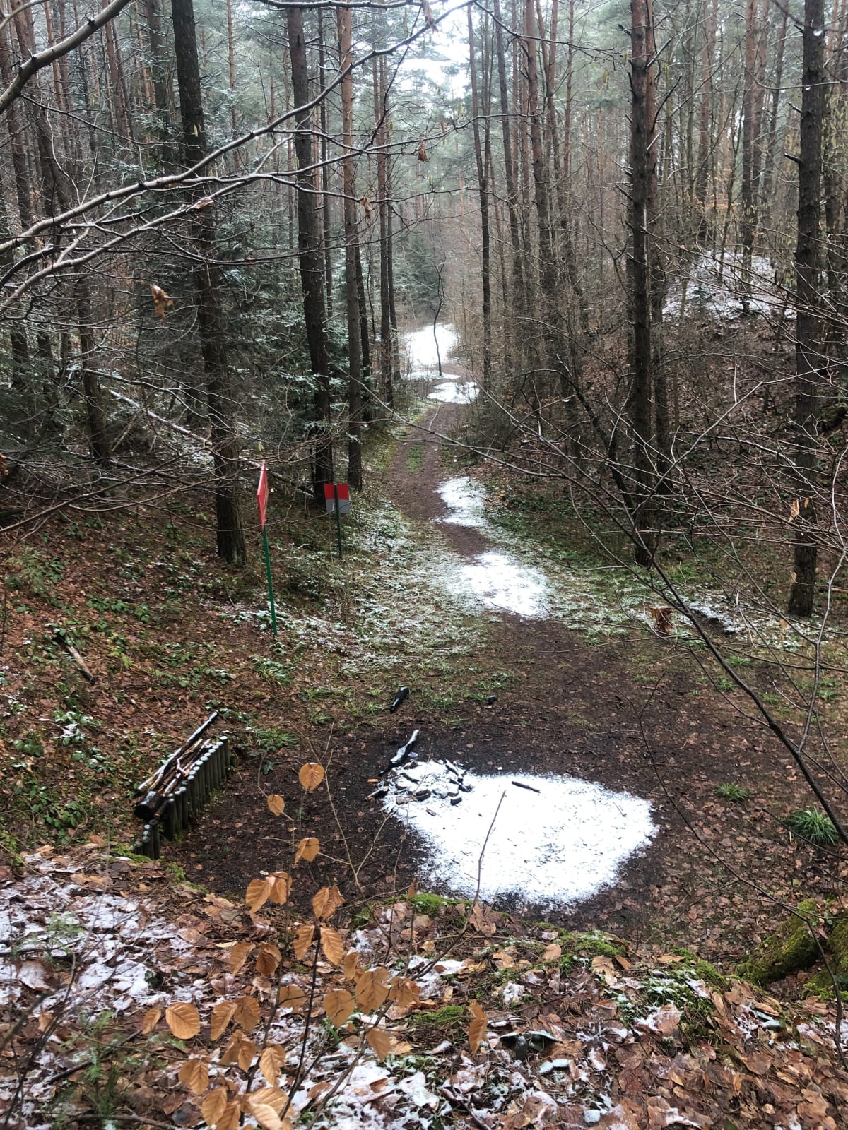Trekking popołudniowy - Kielce