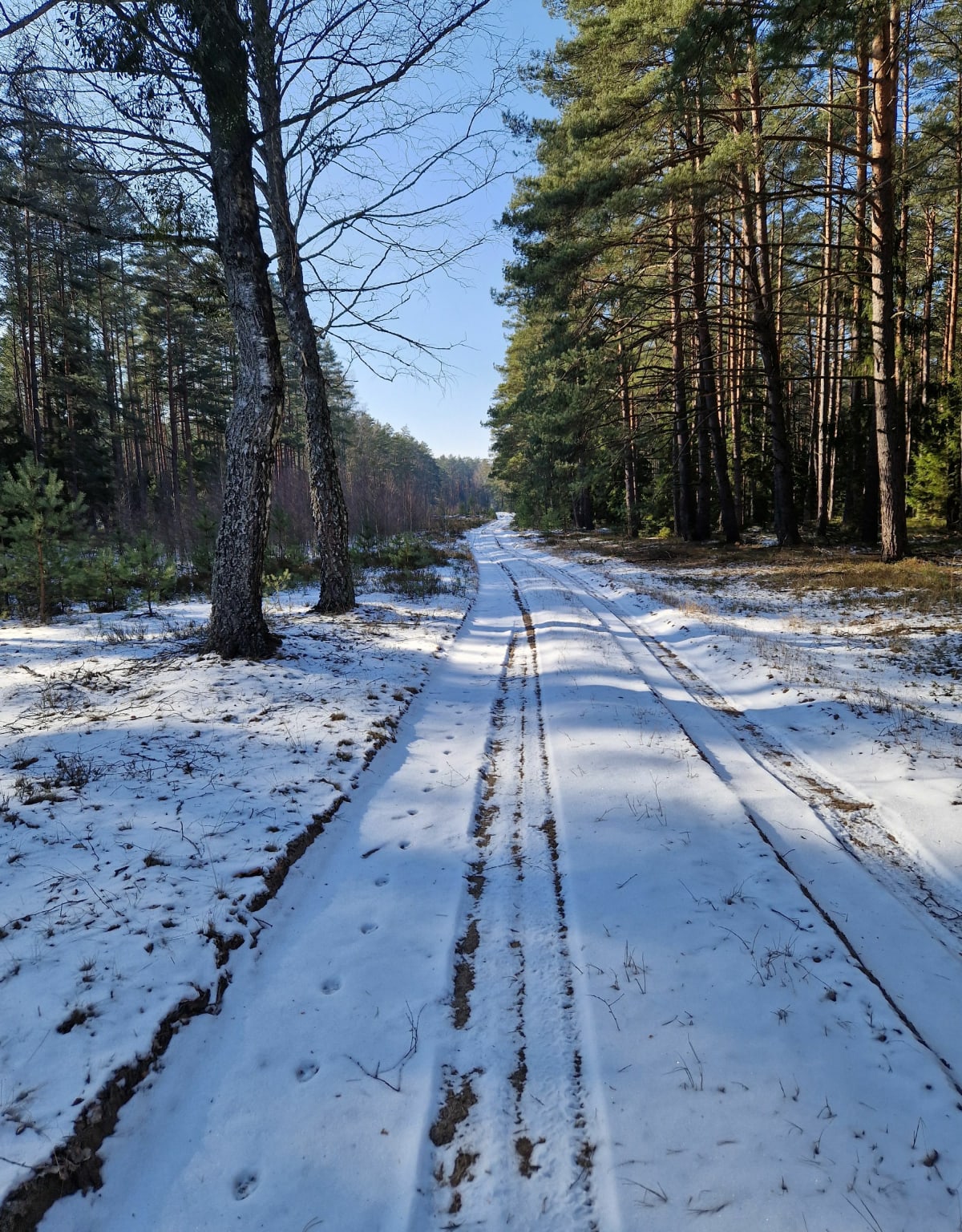 Trasa spacerowa Kowalik mazury - Ruciane-Nida