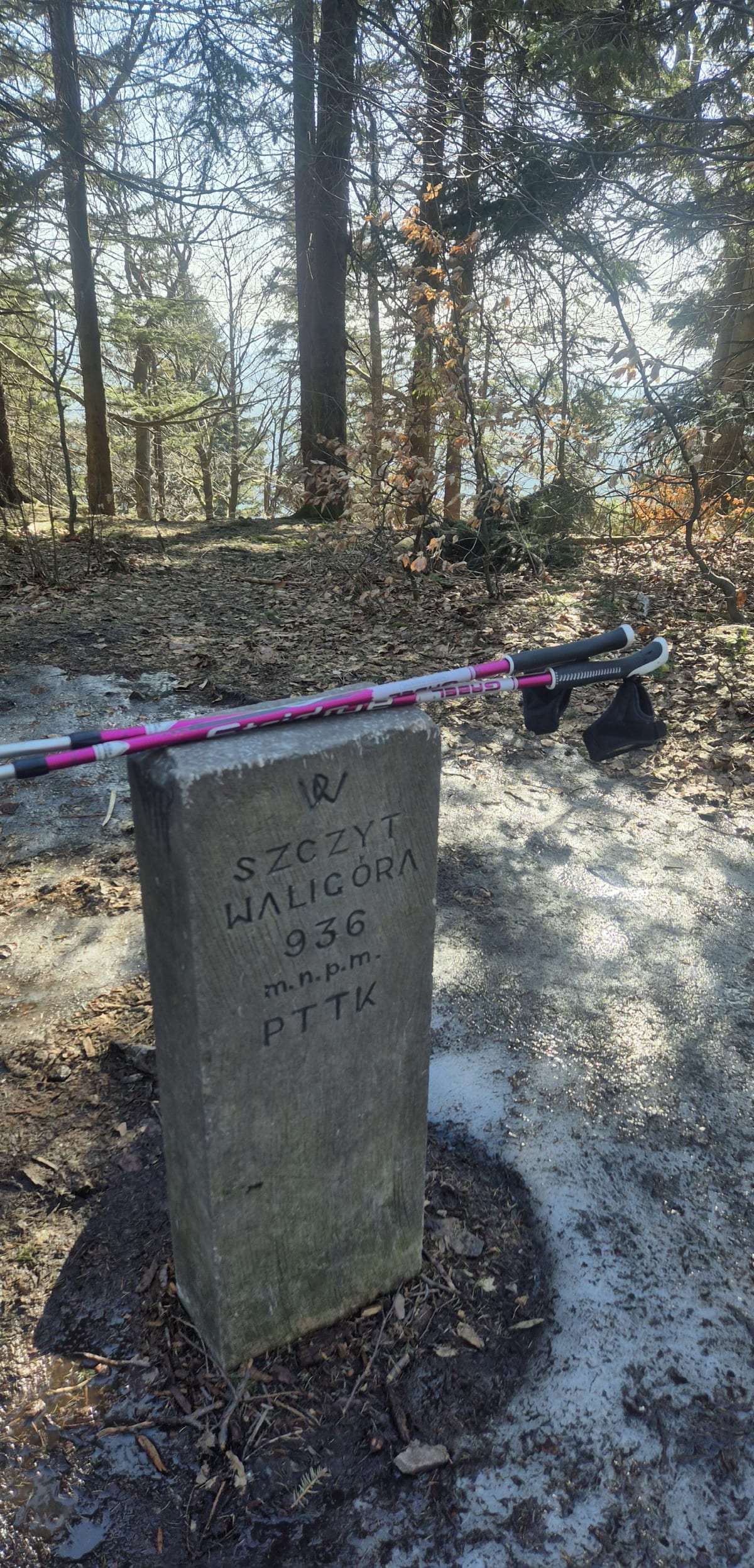 Waligóra 805m n p.m - Rybnica Leśna